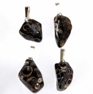 pendentif agate fossile