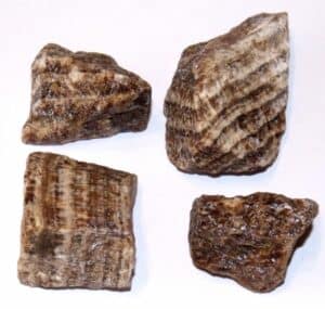 aragonite brute