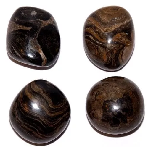 stromatolite roulée