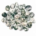 Agate Arbre Naturelle – Pierre Authentique