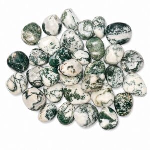 Agate Arbre Naturelle – Pierre Authentique