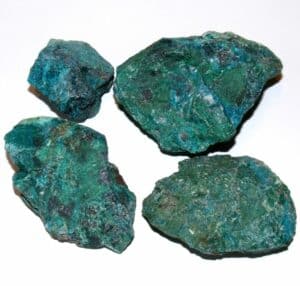 chrysocolle brute