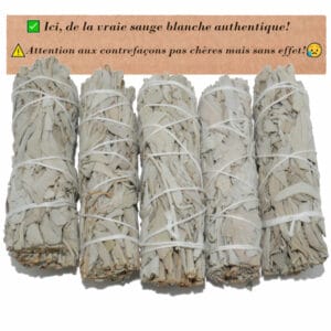 sauge blanche