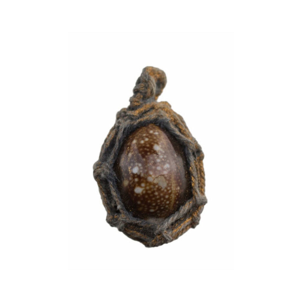 Amulette Thaï Cauris Bia Gae Bénie Takrut