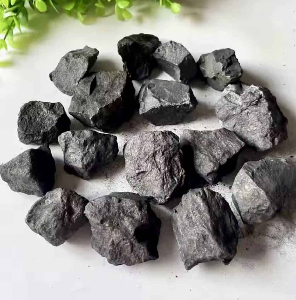Pierre shungite