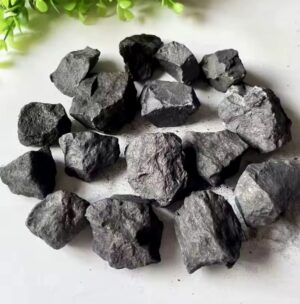 Pierre shungite