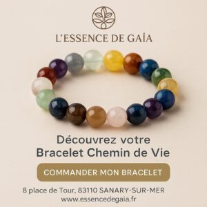 je commande bracelet chemin de vie