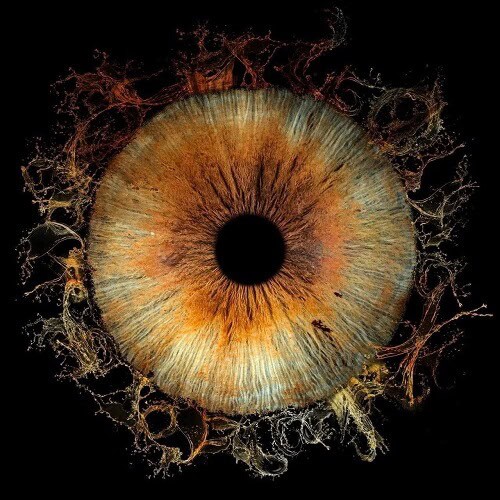 Émilie héritier Voyance